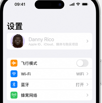 港南appleID维修服务iPhone设置中Apple ID显示为灰色无法使用 