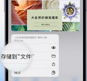 港南apple维修中心分享iPhone文件应用中存储和找到下载文件