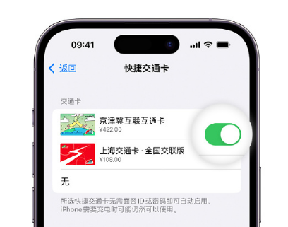 港南apple维修点分享iPhone上更换Apple Pay快捷交通卡手绘卡面 