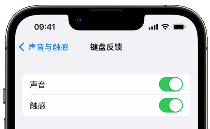 港南苹果手机维修分享iPhone 14触感键盘使用方法 