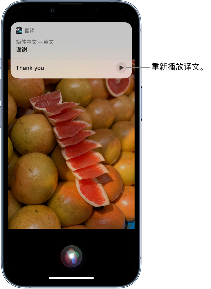 港南苹果14维修分享 iPhone 14 机型中使用 Siri：了解 Siri 能帮你做什么 