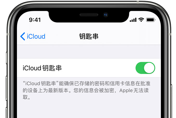 港南苹果手机维修分享在 iPhone 上开启 iCloud 钥匙串之后会储存哪些信息 