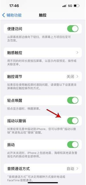 港南苹果手机维修分享iPhone手机如何设置摇一摇删除文字 