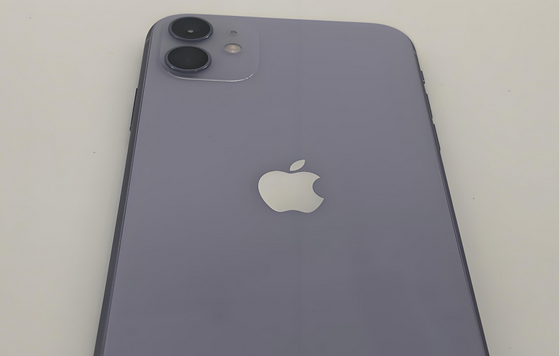 港南苹果11系统维修分享iPhone11手机系统崩溃无法开机如何解决 